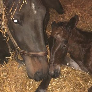 Meet your Posher, Debra